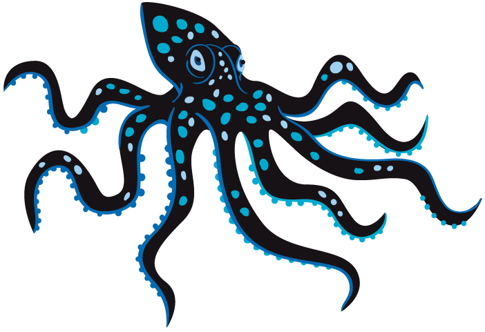 VIA Octopus